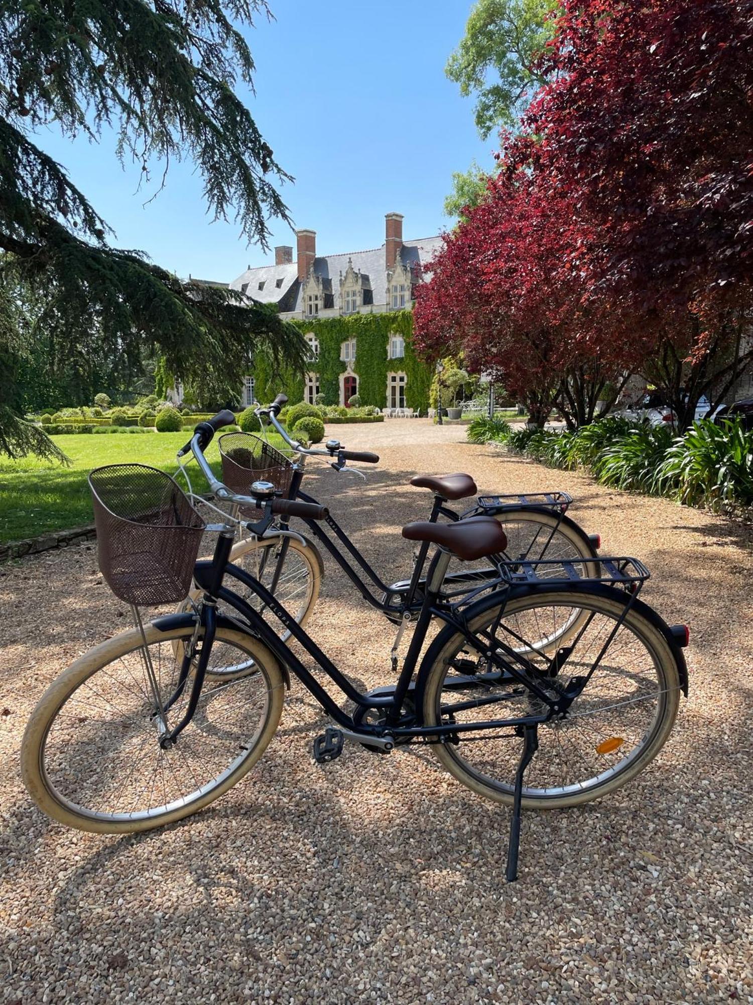 Saint-Georges sur Loire Chateau De L'Epinay מראה חיצוני תמונה