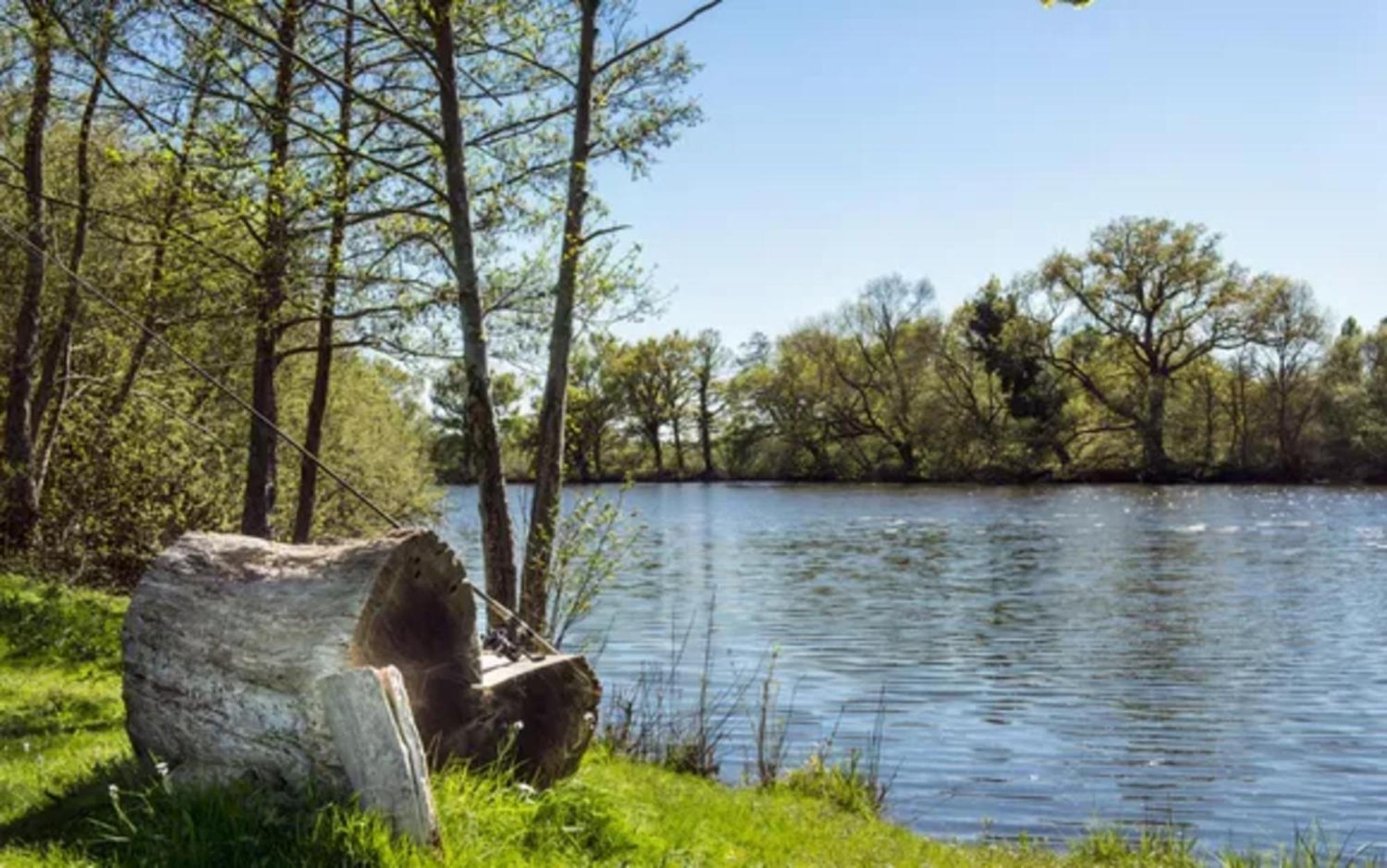 Saint-Georges sur Loire Chateau De L'Epinay מראה חיצוני תמונה